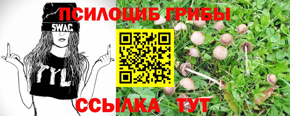Псилоцибиновые грибы Magic Shrooms  Галлюциногенные грибы MAGIC MUSHROOMS  Углич  Вход с VPN 